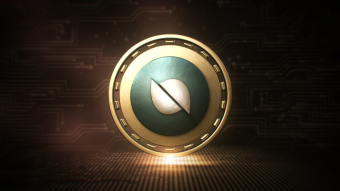 What is Ontology (ONT)? — 'Blockchain to the Masses' — Beginner's Guide