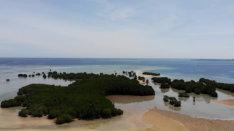 Philippines - Hopping island, i.e. from Puerto Princesa to Honda bay - Lula Island - my journey around Asia