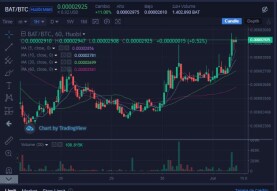 Look at this beautiful BAT's bull run!