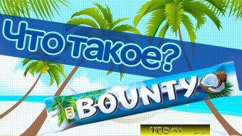 Part 3. What are the types of Bounty Campaign?