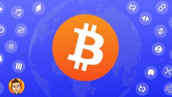 Top Signs You Won't Survive the Crypto Market