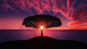 Striving To Be Better, While Knowing You're Perfect How You Already Are