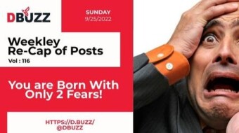 Recap of this Week's Posts by D.Buzz Vol.116