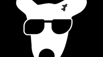 DOGS Telegram Airdrop