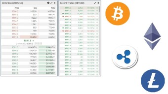 Make money day trading Bitcoin (BTC), Ethereum (ETH), Ripple (XRP), and Litecoin (LTC) by tape reading