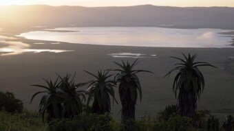 Ngorongoro one of the Seven Natural Wonders of Africa - my journey through Tanzania