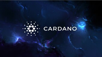 How is Djed, Cardano and Shen doing?