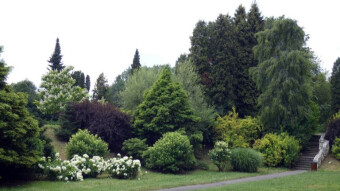 New-old places in the park again by bike