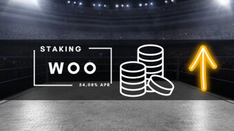 The WOO Staking Experiment