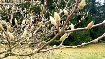 Hang on, the winter is almost over
