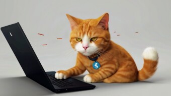 Is That New Crypto Exchange REALLY Legit? Here's How I Learned to Avoid Exit Scams (and Maybe You Should Too!)