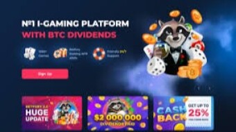 Bet Fury: A legit furious gamble and earn machine