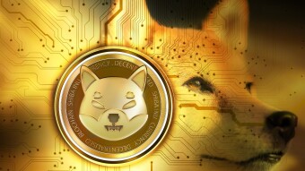 CRYPTO: Cryptos I Invested In (with IPPS) (2021) BY: SDFM