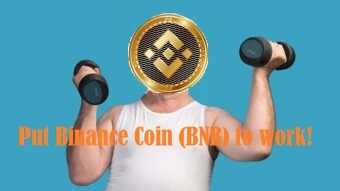 Crypto Experiment: 12 weeks of hard work for my Binance Coin (BNB)