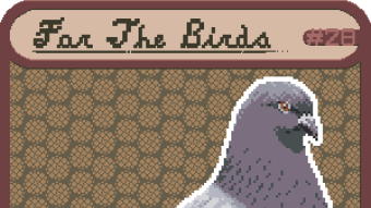 For The Birds! Free Pigeon NFTs