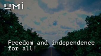 Umi Blockchain Ecosystem: Instant Transfers, Smart Contracts And Profitable Staking