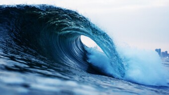 What is Waves (WAVES)? [A Comprehensive Guide to Understanding Waves]