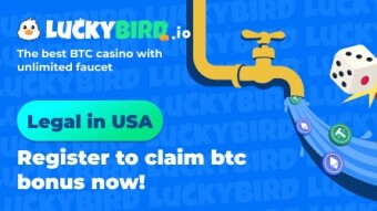LuckyBird is gaining momentum on the crypto-sweepstakes casino scene