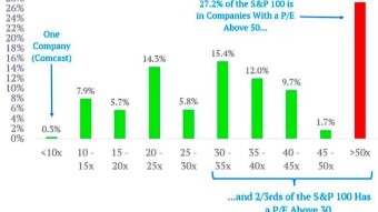 The S&P 100 Bubble: When Company Valuations Detach from Reality