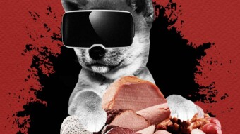 Massive SHIB Burn Incoming as Shiba Inu Prepares to Advance Into Trillion-Dollar Metaverse