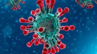 Survival and lifestyle during and after the Covid-19 pandemic
