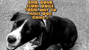 Wag the Market: The Joyful Journey of Dog-Themed Cryptocurrencies with Daisy