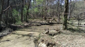 Monday cloudy but no rain, warm - My Actifit Report Card: April 13, 2026