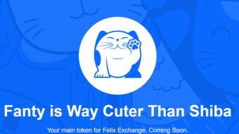 POTENTIAL AIRDROP ON THE FANTOM NETWORK - FANTY
