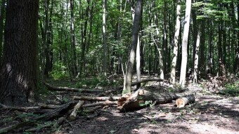 It's Friday, beautiful but chilly - My Actifit Report Card: August 22, 2025