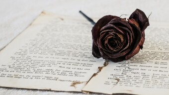 A Letter to Once My World, Helena