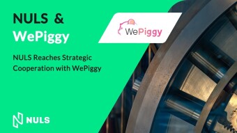 NULS Reaches Strategic Cooperation with WePiggy