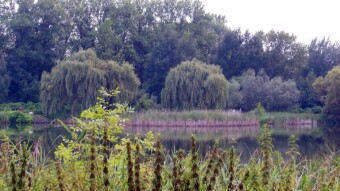 Rainy Sunday, but who cares? - My Actifit Report Card: July 7 2024
