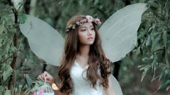 Wish Fairy.
