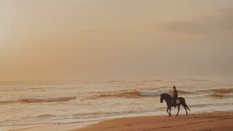 Evening Ride