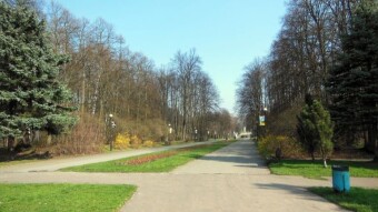 A nice, sunny Thursday with spring aura - My Actifit Report Card: March 14 2024