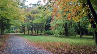 Virtually unchanged - cold northerly wind and no sun - My Actifit Report Card: October 10, 2025