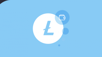 Best Litecoin Coin Wallets