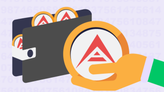 Ark Wallet – A Comprehensive Guide