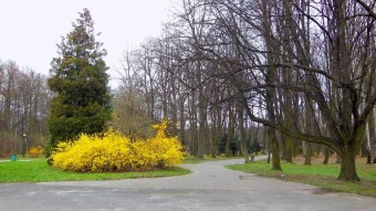A long, pleasant walk in the park on a particularly cold day - My Actifit Report Card: March 18 2024