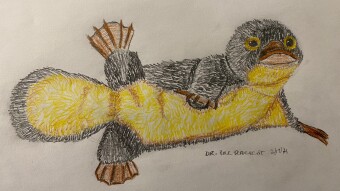 Doctor Bill Bill Platypus