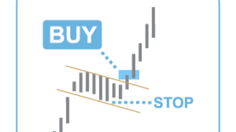 Do THIS to earn more money in bitcoin and increase your portfolio holdings!