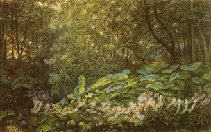 The Plantlore of Nettles
