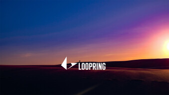 Loopring Bi-Weekly Update — 07/07/2019