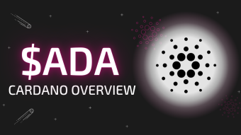 In Light of News: What is Cardano?