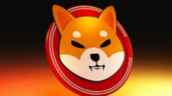 Shiba Inu Burn rates increased 1300% this month