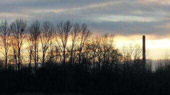 A walk in the sun, a beautiful sunset and a change of walking plans - My Actifit Report Card: January 12 2023