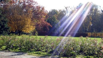 Some autumn photos from my area