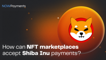 Why Should NFT Marketplaces Try Shiba Inu?