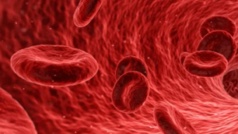 What is Neurogenic Shock and Autonomic Reflexia?