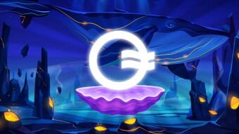 OpenOcean Finance- Exploring the Depths